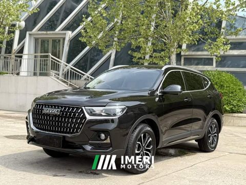 2024 Haval H6 2023 National Trend Edition 1.5T Automatic Urban Version - ავტომობილი ჩინეთიდან