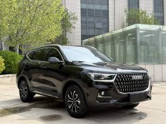 Haval H6 2023 National Trend Edition 1.5T Automatic Urban Version - ფოტო 11