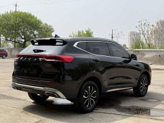 Haval H6 2023 National Trend Edition 1.5T Automatic Urban Version - ფოტო 13