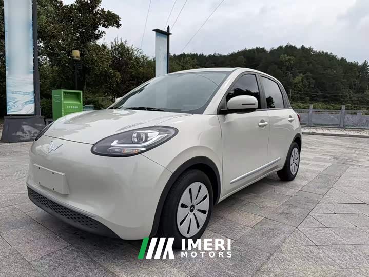Wuling Binguo 203km Light Enjoy Edition - ავტომობილი ჩინეთიდან