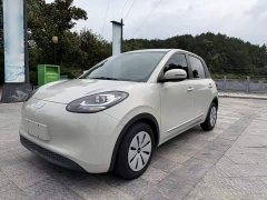 Wuling Binguo 203km Light Enjoy Edition - ფოტო 1