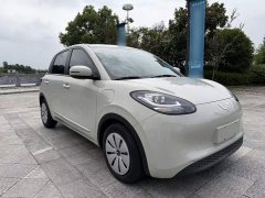 Wuling Binguo 203km Light Enjoy Edition - ფოტო 9