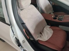 Geely Galaxy L6 2025 EM-i 140km Explorer Edition - ფოტო 20