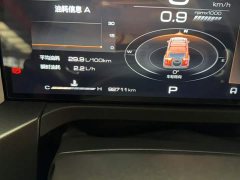 Tank 300 2021 Off-Road Edition 2.0T Conqueror - ფოტო 8