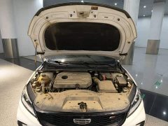 Geely Binrui 1.4T CVT F-Sport Edition - ფოტო 11
