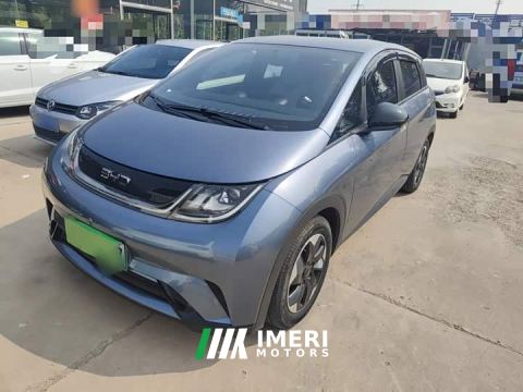 2024 BYD Dolphin Glory Edition 420km Freedom Version