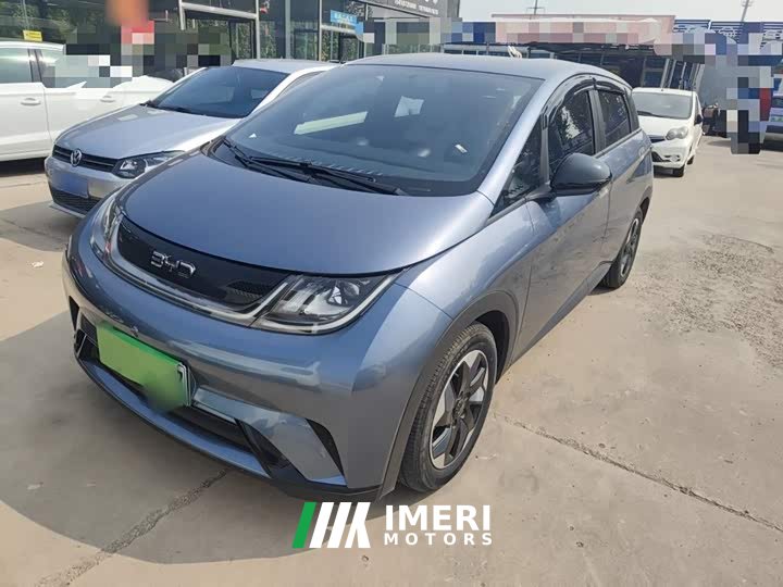 BYD Dolphin Glory Edition 420km Freedom Version
