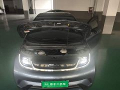 BYD Dolphin Glory Edition 420km Freedom Version - ფოტო 11