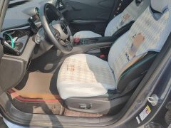 BYD Dolphin Glory Edition 420km Freedom Version - ფოტო 12