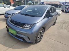 BYD Dolphin Glory Edition 420km Freedom Version - ფოტო 2