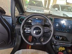 BYD Dolphin Glory Edition 420km Freedom Version - ფოტო 3
