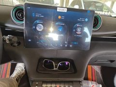 BYD Dolphin Glory Edition 420km Freedom Version - ფოტო 6