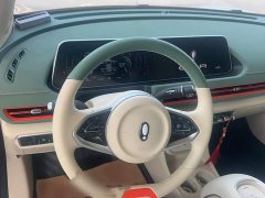 ORA Good Cat 401km Luxury - ფოტო 13