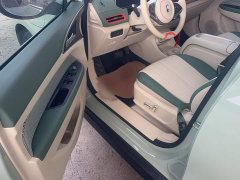 ORA Good Cat 401km Luxury - ფოტო 15