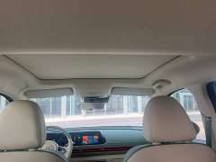ORA Good Cat 401km Luxury - ფოტო 16