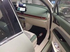 ORA Good Cat 401km Luxury - ფოტო 20