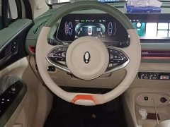 ORA Good Cat 401km Luxury - ფოტო 3
