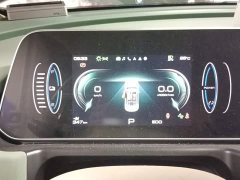 ORA Good Cat 401km Luxury - ფოტო 4
