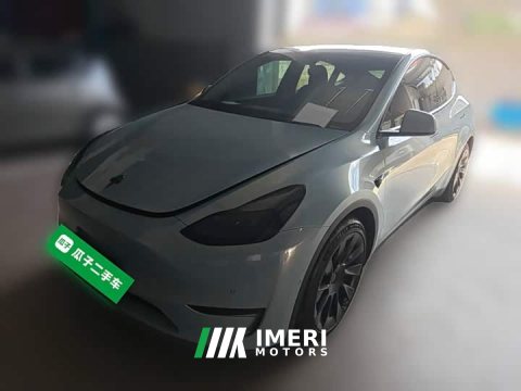 2022 Tesla Model Y 2021 Standard Range RWD - ავტომობილი ჩინეთიდან