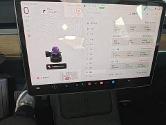 Tesla Model Y 2021 Standard Range RWD - ფოტო 18