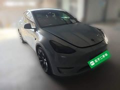 Tesla Model Y 2021 Standard Range RWD - ფოტო 6