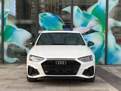 Audi A4L 40 TFSI Luxury Dynamic Edition Starry Night Version - ფოტო 19