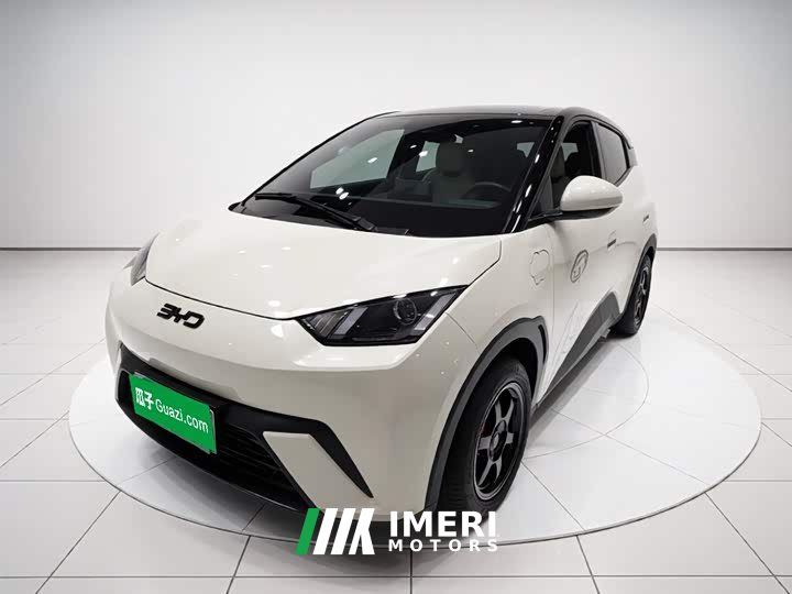 BYD Seagull Glory Edition 305km Vitality Version - ავტომობილი ჩინეთიდან