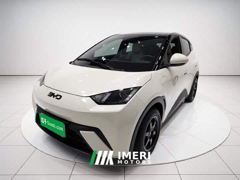 2024 BYD Seagull Glory Edition 305km Vitality Version - ავტომობილი ჩინეთიდან