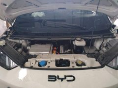 BYD Seagull Glory Edition 305km Vitality Version - ფოტო 11