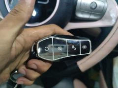 BYD Seagull Glory Edition 305km Vitality Version - ფოტო 12