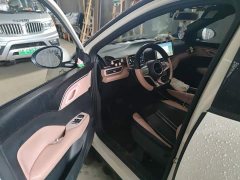 BYD Seagull Glory Edition 305km Vitality Version - ფოტო 14