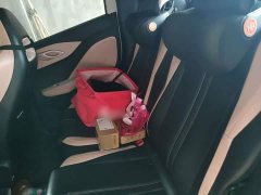 BYD Seagull Glory Edition 305km Vitality Version - ფოტო 15