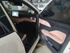 BYD Seagull Glory Edition 305km Vitality Version - ფოტო 18