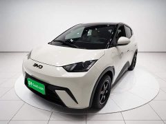 BYD Seagull Glory Edition 305km Vitality Version - ფოტო 2