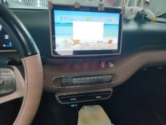 BYD Seagull Glory Edition 305km Vitality Version - ფოტო 6