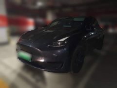 Tesla Model Y Rear-Wheel Drive - ფოტო 1