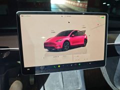 Tesla Model Y Rear-Wheel Drive - ფოტო 4
