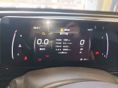 Trumpchi Yingbao 2021 270T DCT J15 - ფოტო 8