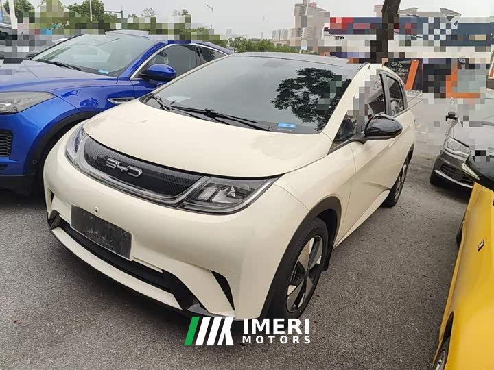 BYD Dolphin 2023 420km Fashion Edition - ავტომობილი ჩინეთიდან
