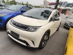 BYD Dolphin 2023 420km Fashion Edition - ფოტო 1