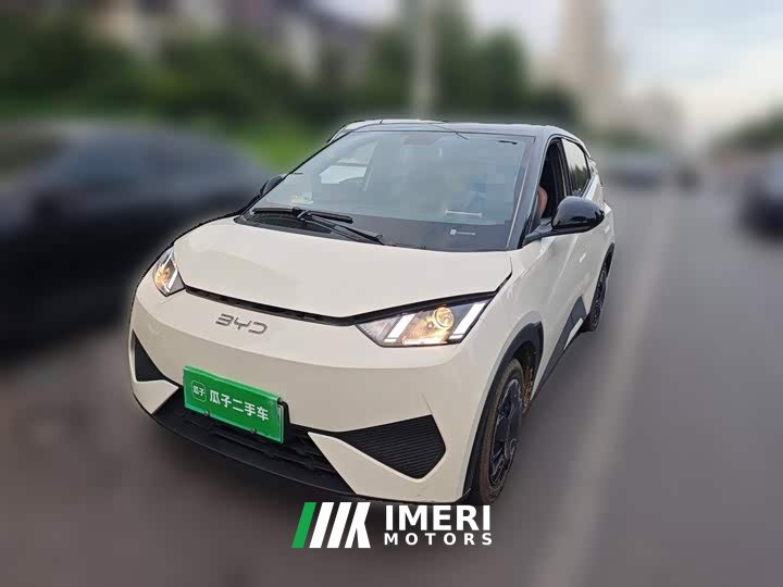 BYD Seagull 2025 Smart Drive 305km Vitality Edition - ავტომობილი ჩინეთიდან