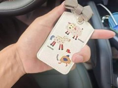 BYD Seagull 2025 Smart Drive 305km Vitality Edition - ფოტო 12