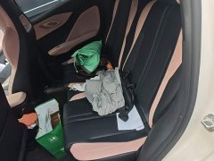 BYD Seagull 2025 Smart Drive 305km Vitality Edition - ფოტო 15