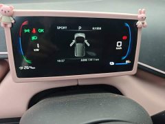 BYD Seagull 2025 Smart Drive 305km Vitality Edition - ფოტო 5