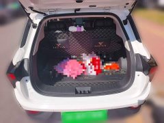 Neta V Pro Long Range Smart Comfort Edition - ფოტო 10