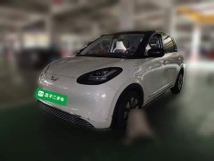 Wuling Binguo 2023 410km Lingxi Premium Edition - ფოტო 1