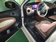 Wuling Binguo 2023 410km Lingxi Premium Edition - ფოტო 14