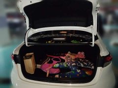 Toyota Corolla 1.8L CVT Luxury - ფოტო 10