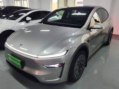 Tesla Model Y L Long Range All-Wheel Drive - ფოტო 2