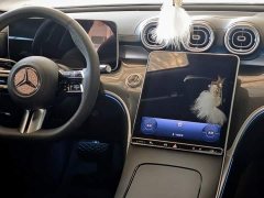 Mercedes-Benz C-Class C 260 L Dark Night Sport Edition - ფოტო 14